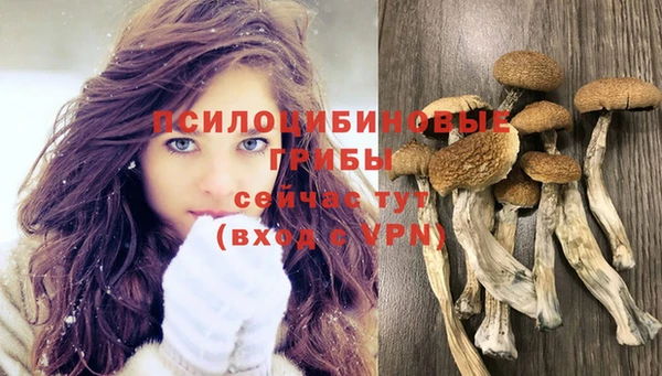 амфетамин Михайлов